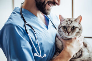 Animais domésticos: avanços da Medicina Veterinária