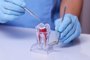 Endodontia, dentística e outras disciplinas de Odontologia