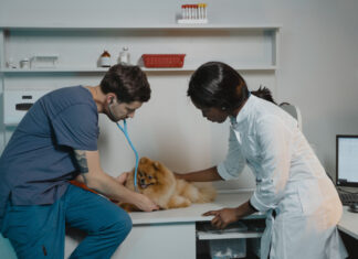faculdade de veterinária